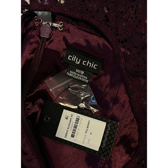NWT City Chic Elegant Lace Midi Dress Womens Sz 18 Mulberry Whimsigoth Romantic - Picture 16 of 16